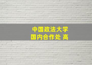 中国政法大学国内合作处 高